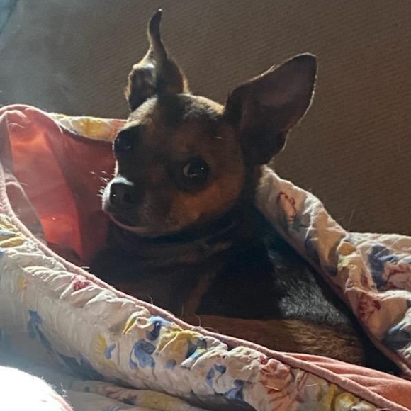 Meet your Posher, Sheri - Picture 4 of 6